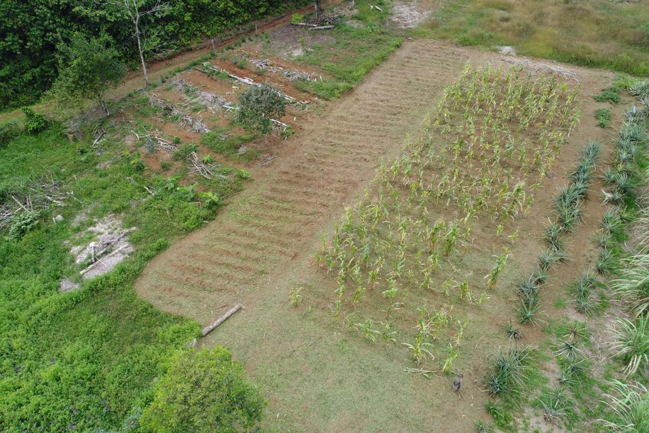 Hope Garden, Sarapiqui, We Connect You With The Sarapiqui Tropical Forest Sarapiquí Exterior foto
