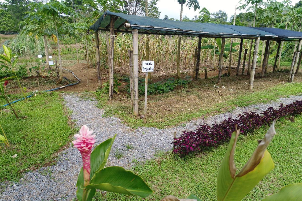 Hope Garden, Sarapiqui, We Connect You With The Sarapiqui Tropical Forest Sarapiquí Exterior foto
