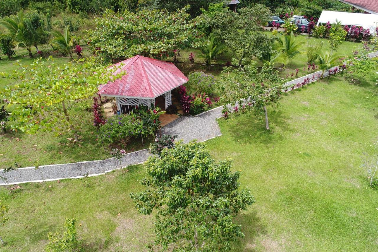 Hope Garden, Sarapiqui, We Connect You With The Sarapiqui Tropical Forest Sarapiquí Exterior foto