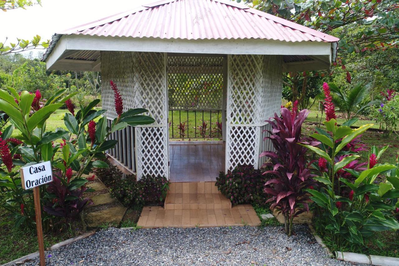 Hope Garden, Sarapiqui, We Connect You With The Sarapiqui Tropical Forest Sarapiquí Exterior foto