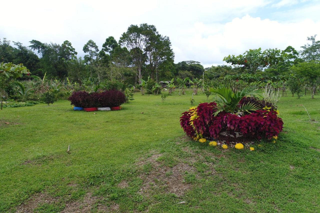 Hope Garden, Sarapiqui, We Connect You With The Sarapiqui Tropical Forest Sarapiquí Exterior foto