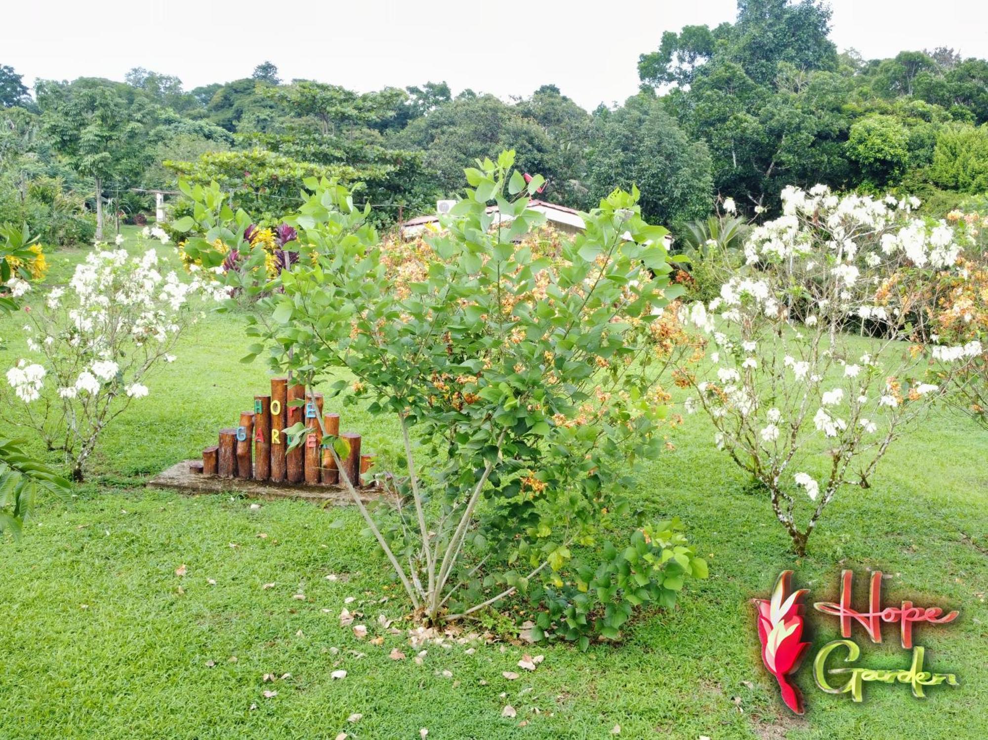 Hope Garden, Sarapiqui, We Connect You With The Sarapiqui Tropical Forest Sarapiquí Exterior foto