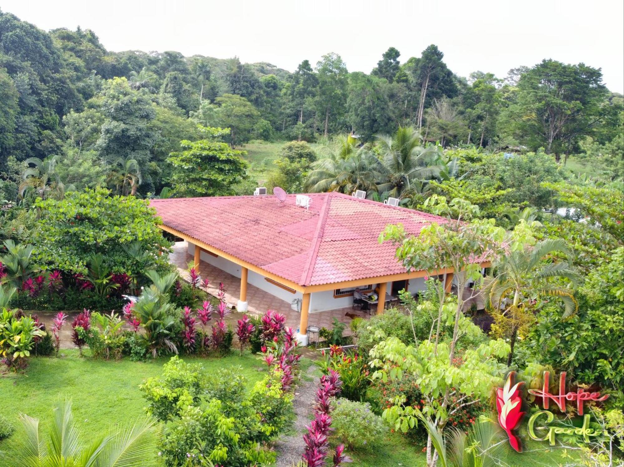 Hope Garden, Sarapiqui, We Connect You With The Sarapiqui Tropical Forest Sarapiquí Exterior foto