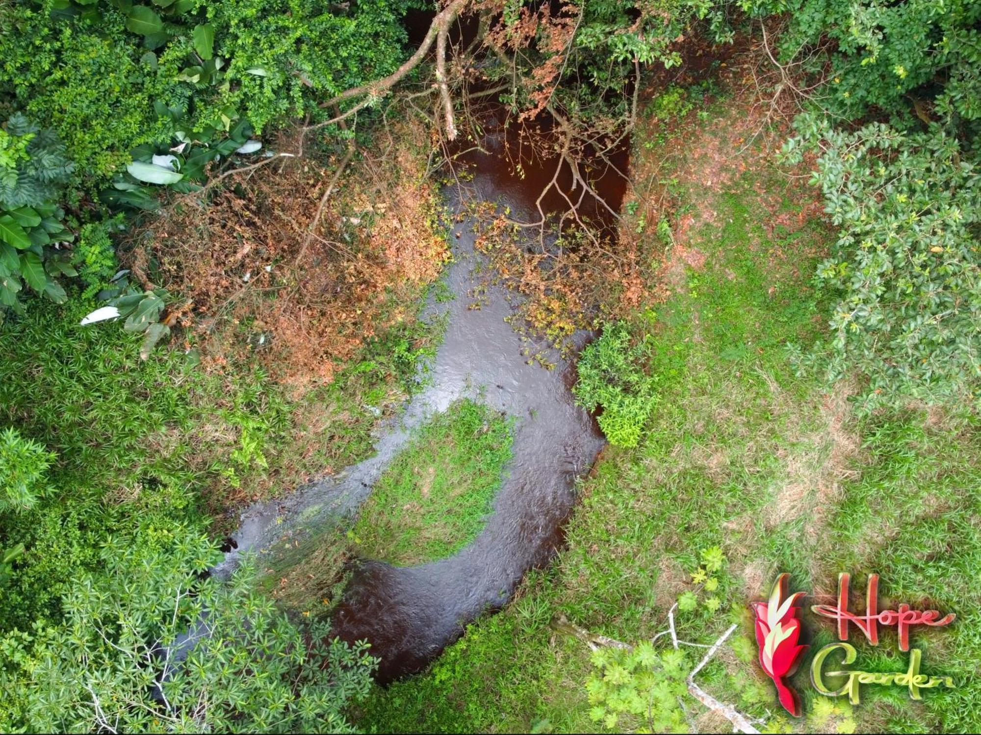 Hope Garden, Sarapiqui, We Connect You With The Sarapiqui Tropical Forest Sarapiquí Exterior foto