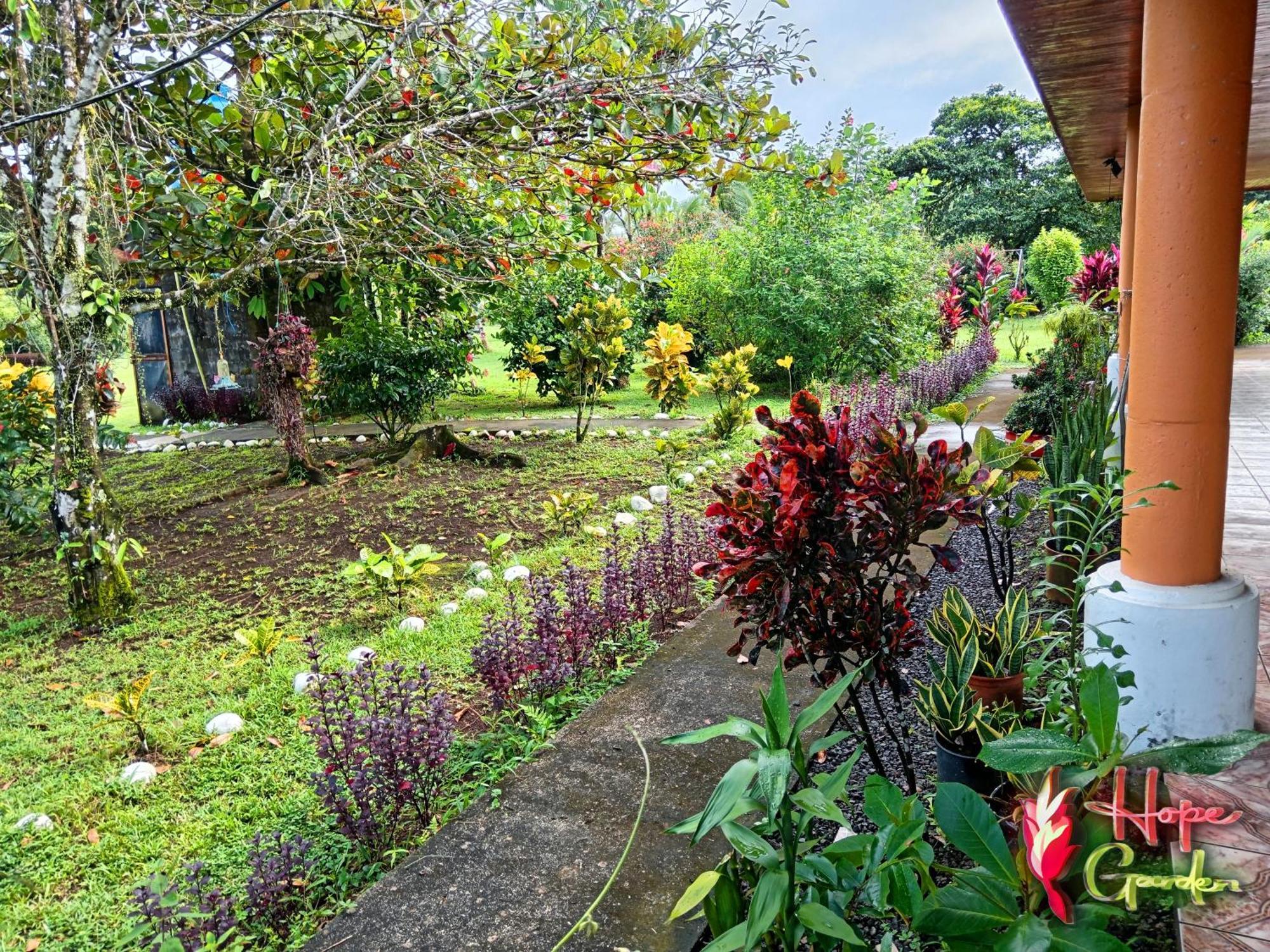 Hope Garden, Sarapiqui, We Connect You With The Sarapiqui Tropical Forest Sarapiquí Exterior foto