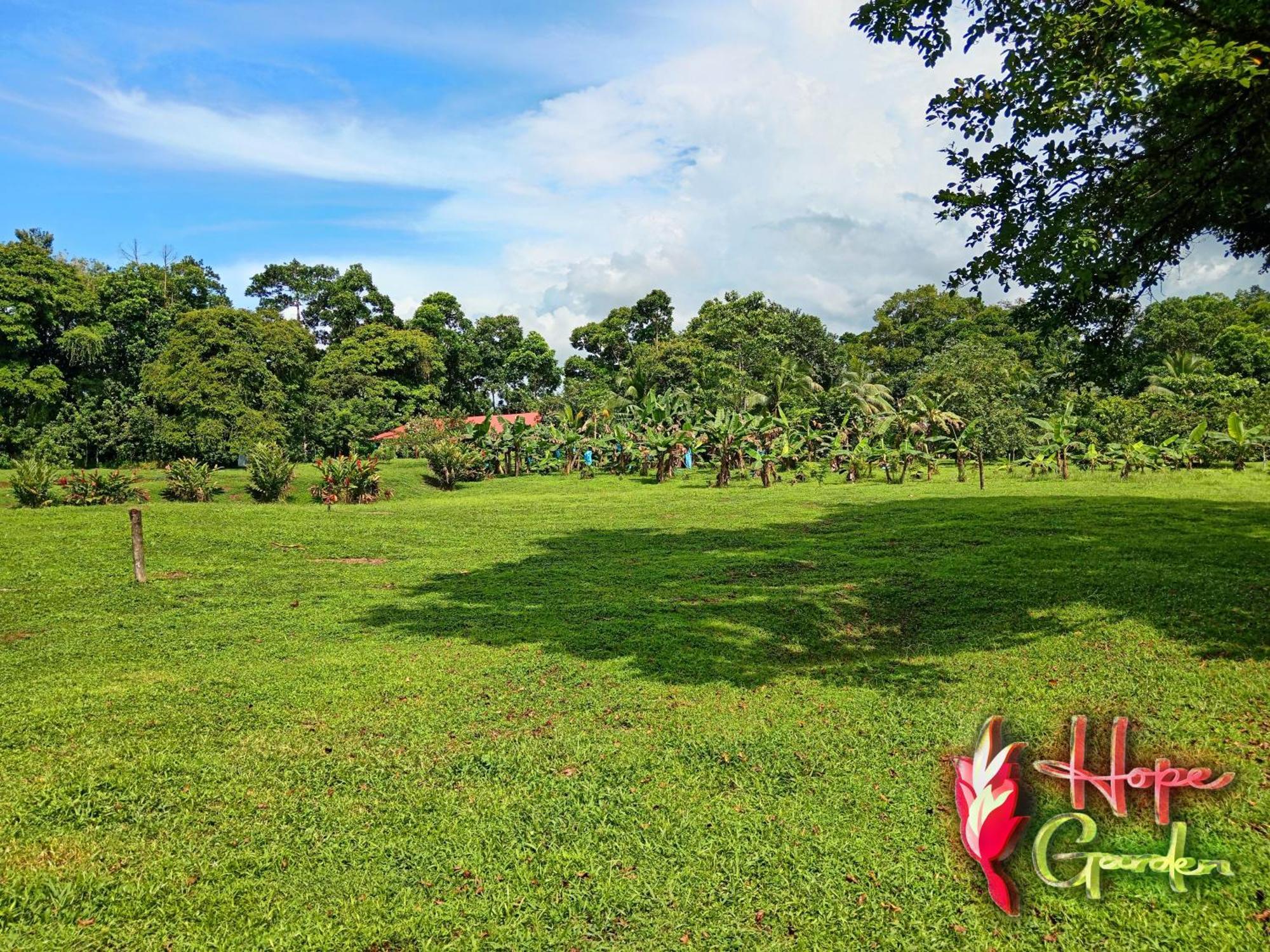 Hope Garden, Sarapiqui, We Connect You With The Sarapiqui Tropical Forest Sarapiquí Exterior foto
